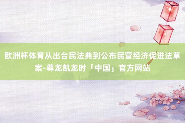欧洲杯体育从出台民法典到公布民营经济促进法草案-尊龙凯龙时「中国」官方网站