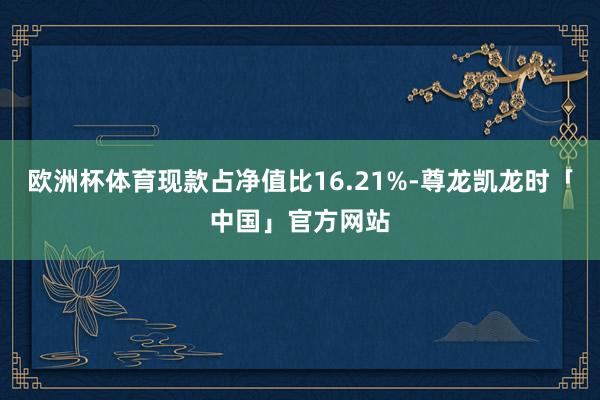 欧洲杯体育现款占净值比16.21%-尊龙凯龙时「中国」官方网站