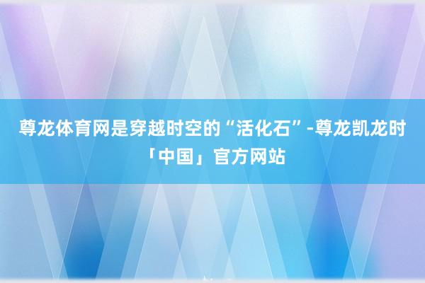 尊龙体育网是穿越时空的“活化石”-尊龙凯龙时「中国」官方网站