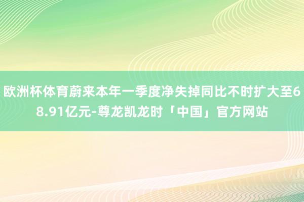 欧洲杯体育蔚来本年一季度净失掉同比不时扩大至68.91亿元-尊龙凯龙时「中国」官方网站