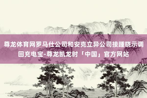 尊龙体育网罗马仕公司和安克立异公司接踵晓示调回充电宝-尊龙凯龙时「中国」官方网站