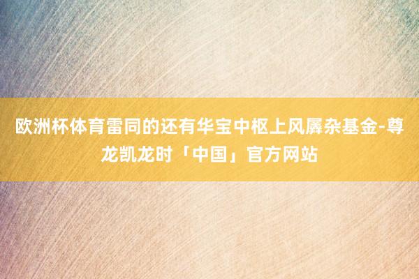 欧洲杯体育雷同的还有华宝中枢上风羼杂基金-尊龙凯龙时「中国」官方网站