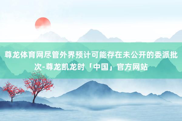 尊龙体育网尽管外界预计可能存在未公开的委派批次-尊龙凯龙时「中国」官方网站