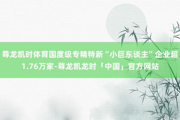 尊龙凯时体育国度级专精特新“小巨东谈主”企业超1.76万家-尊龙凯龙时「中国」官方网站