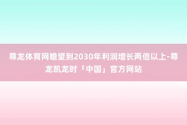 尊龙体育网瞻望到2030年利润增长两倍以上-尊龙凯龙时「中国」官方网站