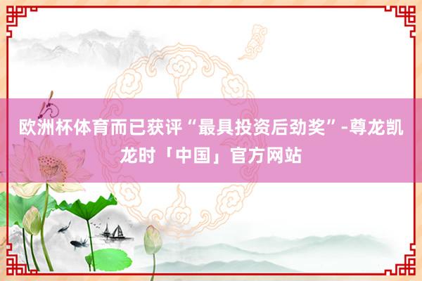 欧洲杯体育而已获评“最具投资后劲奖”-尊龙凯龙时「中国」官方网站
