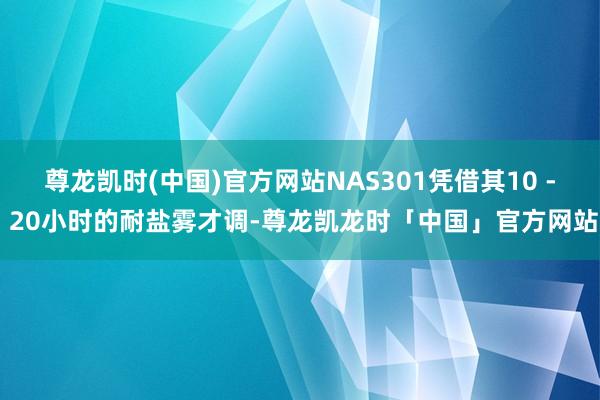 尊龙凯时(中国)官方网站NAS301凭借其10 - 20小时的耐盐雾才调-尊龙凯龙时「中国」官方网站