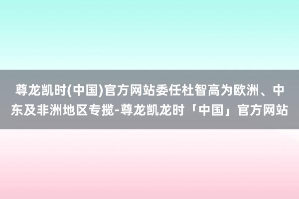 尊龙凯时(中国)官方网站委任杜智高为欧洲、中东及非洲地区专揽-尊龙凯龙时「中国」官方网站